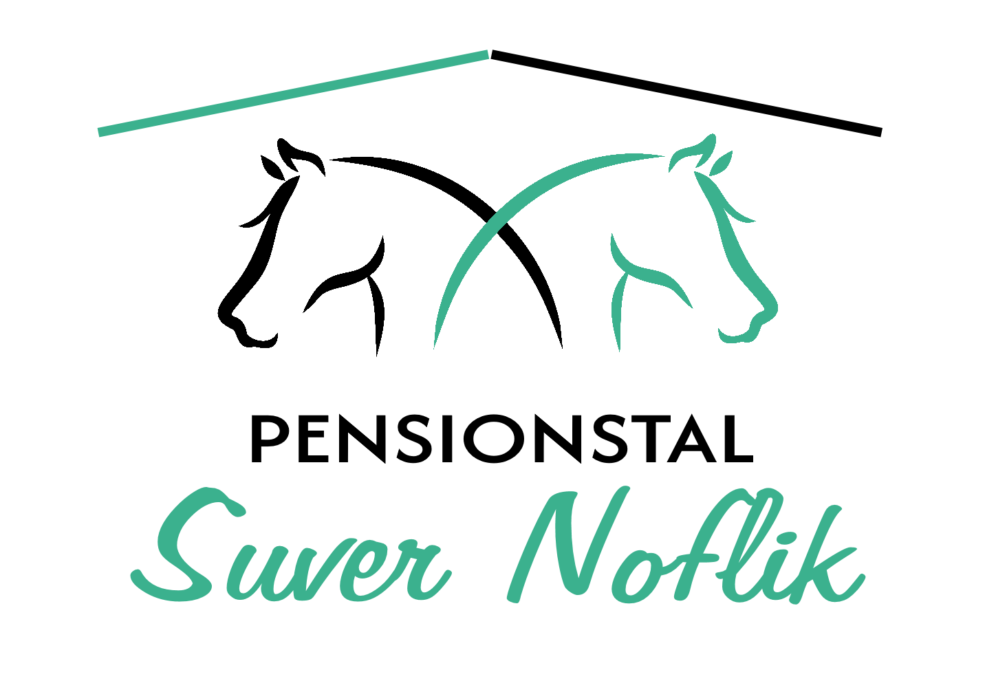 Suver Noflik